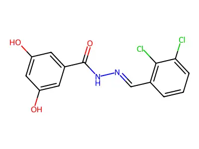 N-[(E)-(2,3-dichlorophenyl)methylideneamino]-3,5-dihydroxybenzamide structure