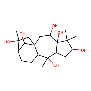 Grayanotoxane-3,5,6,10,14,16-hexol structure