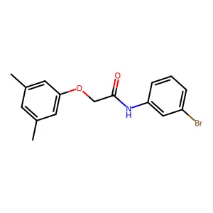 N-(3-bromophenyl)-2-(3,5-dimethylphenoxy)acetamide structure