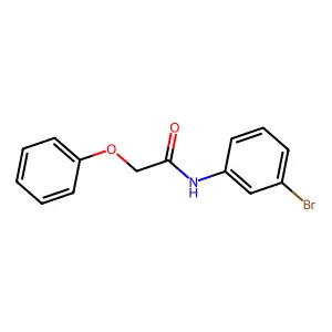 N-(3-bromophenyl)-2-phenoxyacetamide structure