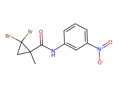 2,2-dibromo-1-methyl-N-(3-nitrophenyl)cyclopropanecarboxamide structure