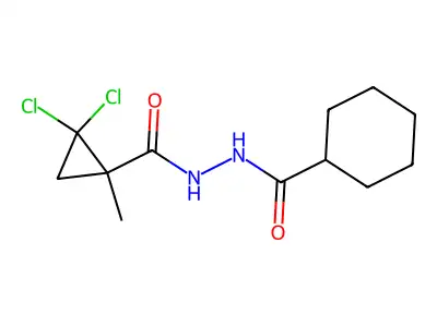 N'-(2,2-dichloro-1-methylcyclopropanecarbonyl)cyclohexanecarbohydrazide structure