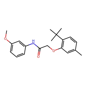 2-(2-tert-butyl-5-methylphenoxy)-N-(3-methoxyphenyl)acetamide structure