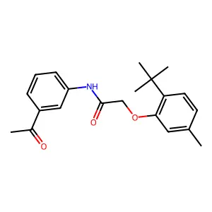 N-(3-acetylphenyl)-2-(2-tert-butyl-5-methylphenoxy)acetamide structure