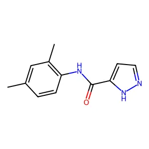 N-(2,4-dimethylphenyl)-1H-pyrazole-3-carboxamide structure