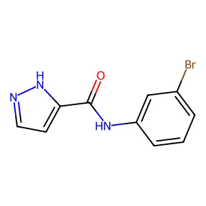 N-(3-bromophenyl)-1H-pyrazole-3-carboxamide structure