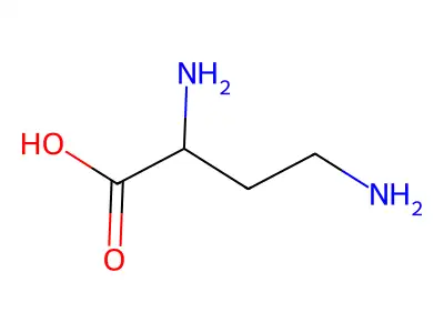 2,4-二氨基丁酸 structure