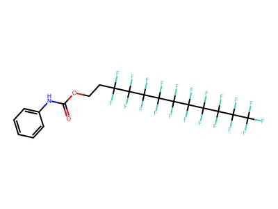 J2.538.740F structure