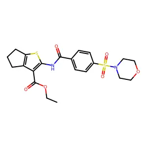 BIM-0027852.P001 structure