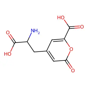 Stizolobate structure