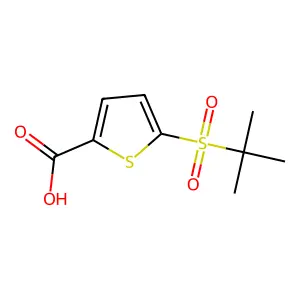 5-(2-Methyl-propane-2-sulfonyl)-thiophene-2-carboxylic acid structure