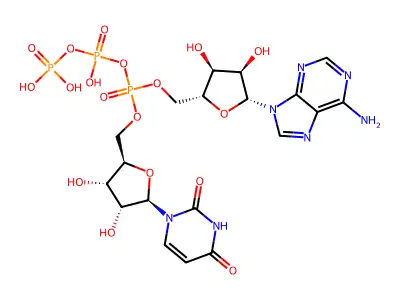 Adenosine 5'-P(1)-triphosphate-P(3)-5'''-uridine structure