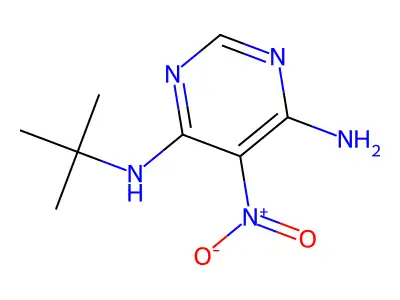 4-Amino-6-[(1,1-dimethylethyl)amino]-5-nitropyrimidine structure
