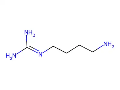1-(4-氨基丁基)胍 structure