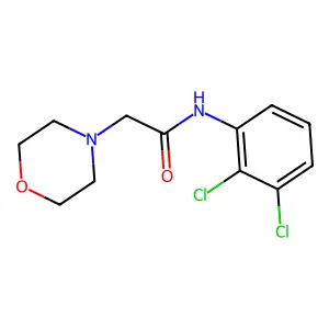 N-(2,3-dichlorophenyl)-2-(morpholin-4-yl)acetamide structure