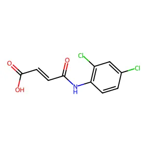 Ibc 293 structure