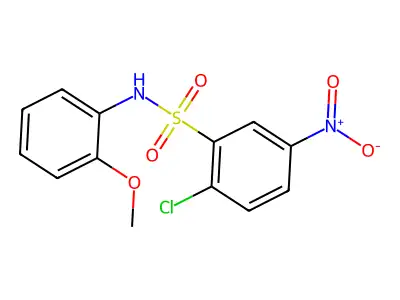 2-chloro-N-(2-methoxyphenyl)-5-nitrobenzenesulfonamide structure