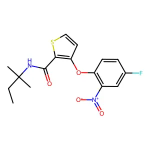 3-(4-fluoro-2-nitrophenoxy)-N-(tert-pentyl)-2-thiophenecarboxamide structure