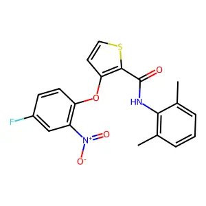 N-(2,6-dimethylphenyl)-3-(4-fluoro-2-nitrophenoxy)thiophene-2-carboxamide structure