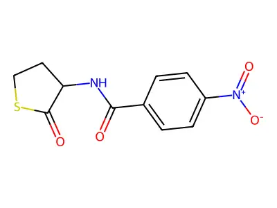 4-nitro-N-(2-oxothiolan-3-yl)benzamide structure