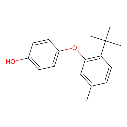 tert-Butyl methylphenoxy phenol structure