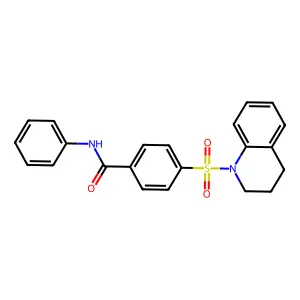 4-((3,4-dihydroquinolin-1(2H)-yl)sulfonyl)-N-phenylbenzamide structure