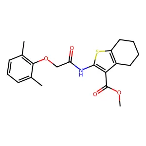 CBKinase1_006248 structure