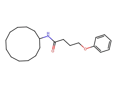 N-cyclododecyl-4-phenoxybutanamide structure