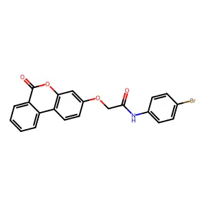N-(4-bromophenyl)-2-(6-oxobenzo[c]chromen-3-yl)oxyacetamide structure