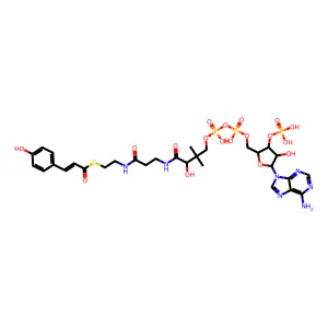 4-coumaroyl-CoA structure
