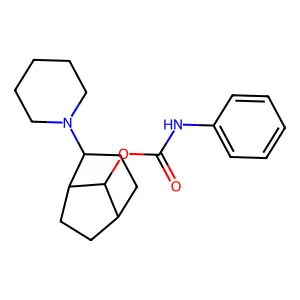 Phenyl-carbamic acid 2-piperidin-1-yl-bicyclo[3.2.1]oct-8-yl ester structure