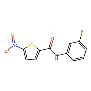 N-(3-bromophenyl)-5-nitrothiophene-2-carboxamide structure
