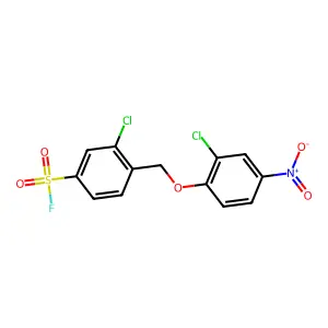 3-Chloro-4-[(2-chloro-4-nitrophenoxy)methyl]benzenesulfonyl fluoride structure