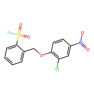 Benzenesulfonylfluoride, 2-[(2-chloro-4-nitrophenoxy)methyl]- structure