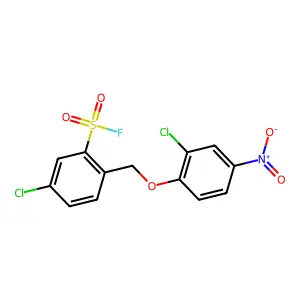 Benzenesulfonylfluoride, 5-chloro-2-[(2-chloro-4-nitrophenoxy)methyl]- structure