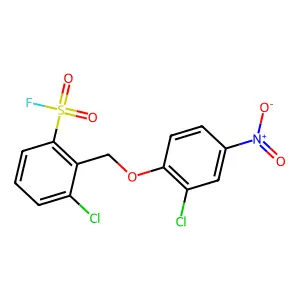 Benzenesulfonylfluoride, 3-chloro-2-[(2-chloro-4-nitrophenoxy)methyl]- structure