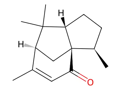 Estrone glucoside structure