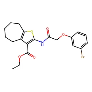 ethyl 2-{[(3-bromophenoxy)acetyl]amino}-5,6,7,8-tetrahydro-4H-cyclohepta[b]thiophene-3-carboxylate structure