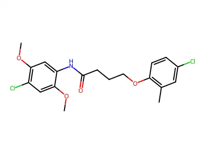 N-(4-chloro-2,5-dimethoxyphenyl)-4-(4-chloro-2-methylphenoxy)butanamide structure