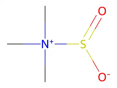 Trimethylsulphinatoammonium structure