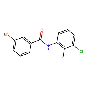 3-溴-N-(3-氯-2-甲基苯基)苯甲酰胺 structure
