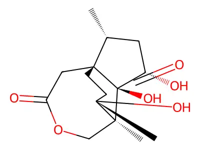 pseudoanisatin structure
