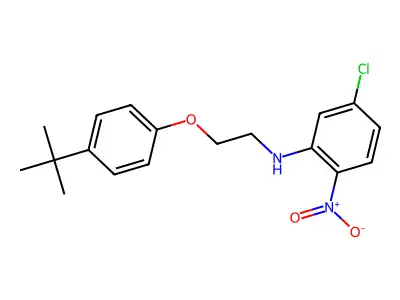 N-[2-(4-tert-butylphenoxy)ethyl]-5-chloro-2-nitroaniline structure
