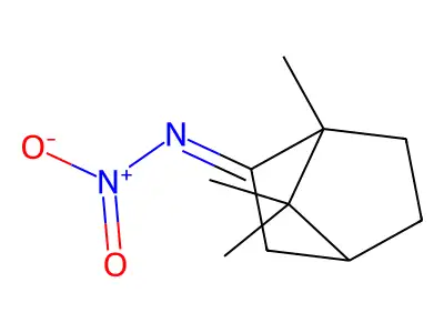 Camphor nitroimine structure