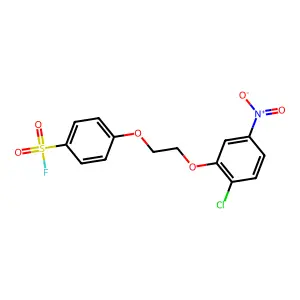 Benzenesulfonylfluoride, 4-[2-(2-chloro-5-nitrophenoxy)ethoxy]- structure