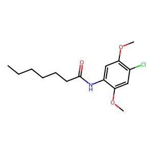 N-(4-chloro-2,5-dimethoxyphenyl)heptanamide structure