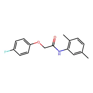 N-(2,5-dimethylphenyl)-2-(4-fluorophenoxy)acetamide structure