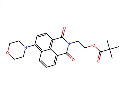2-(6-morpholino-1,3-dioxo-1H-benzo[de]isoquinolin-2(3H)-yl)ethyl pivalate structure