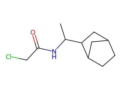 N-(1-(bicyclo(2.2.1)heptan-2-yl)ethyl)-2-chloroacetamide structure