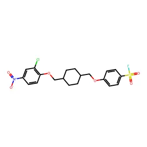 4-[[4-[(2-chloro-4-nitrophenoxy)methyl]cyclohexyl]methoxy]benzenesulfonyl fluoride structure